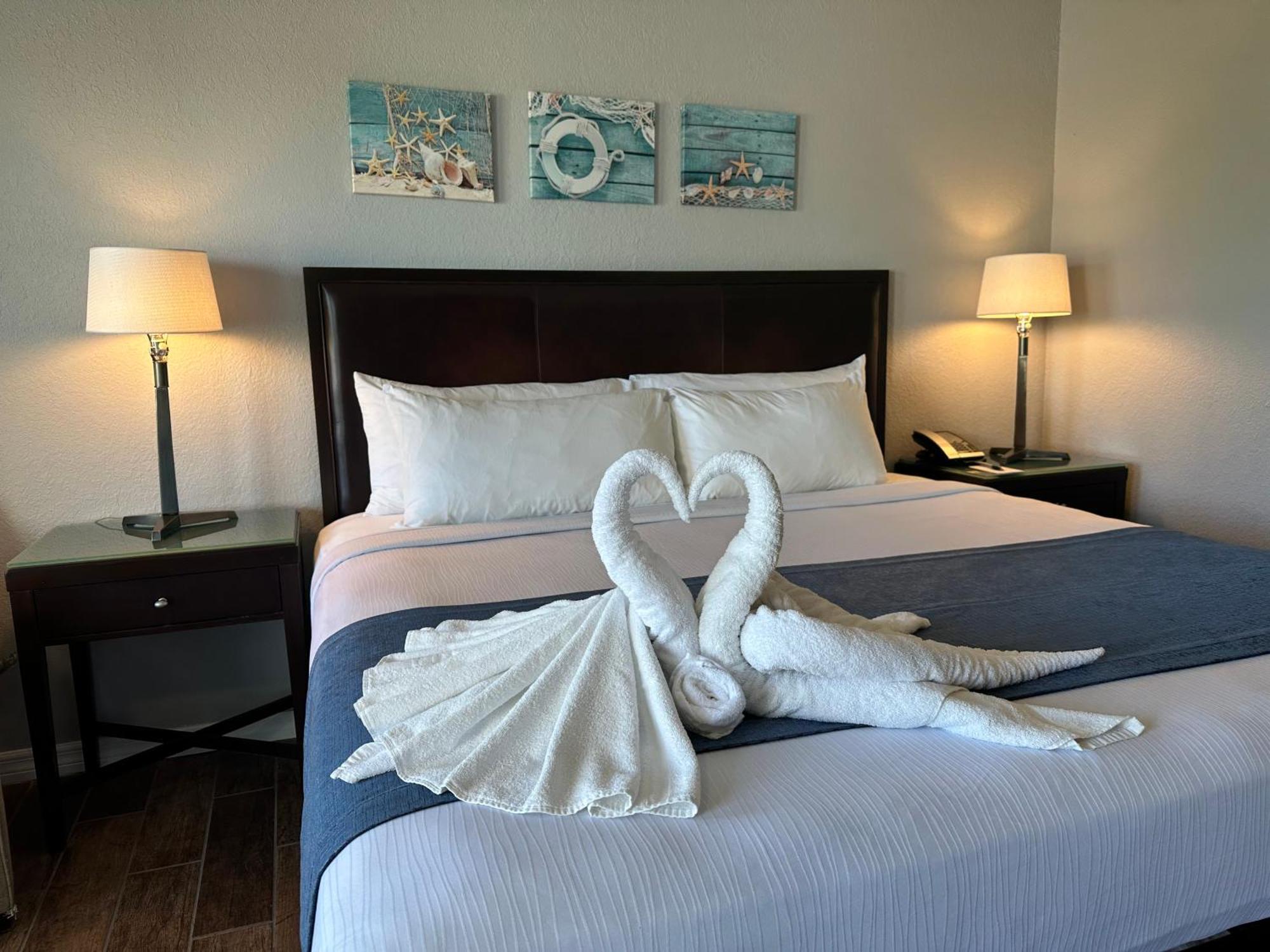 Lantern Inn & Suites - Sarasota Eksteriør billede